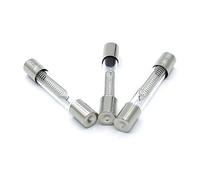 QEFHSVVZE Fusible 10 Uds 5KV 0.75A 0.65A 0.7A 0.8A 0.9A 650mA 750mA 700mA 800mA 900mA Horno microondas Fusible de Alto Voltaje(0.75A)