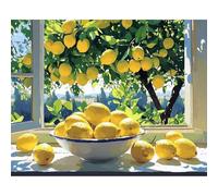 QENSPE Kit de Pintura por Números para Adultos, Limón Paint by Numbers, Ventana Pintar Números Pintura Acrílica al Óleo para Decor de Paredes Hogar (40x50 cm) Sin Marco