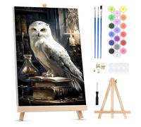 QENSPE Kit de Pintura por Números para Adultos sobre Lienzo Enmarcado - con Caballete, Búho Blanco Paint by Numbers, Libro Mágico Pintura Acrílica al Óleo para Decor de Paredes Hogar (20x30 cm)