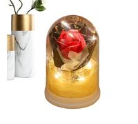 Qfdiwr Flores Eternas,Ramo de Rosas Eternas en una Cúpula de,Flor Infinita con Iluminación | para Ella Regalo Mujer Cumpleaños Navidad San Valentín