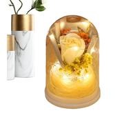 Qfdiwr Flores Preservadas | Ramo De Rosas con Luz En Cúpula De - Flor Infinita con Iluminación - para Madre, Mujeres, Hermana, Hija, Esposa, Ella, Día de San Valentín, Novia, Cumpleaños,