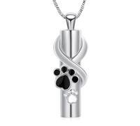 QGJNSGC Collar de urna cilíndrica para Cenizas para Mujeres/Hombres, joyería de cremación para Cenizas, joyería Conmemorativa, Regalos para Mujeres y niñas, Collar de Cenizas, Plata