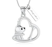 QGJNSGC Collar de urna de perro con corazón para cenizas de mascotas, huesos de mascotas, colgante de recuerdo de cremación, joyería conmemorativa, regalos para mujeres y cachorros perdidos, Acero