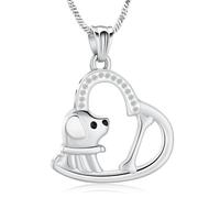 QGJNSGC Collar de urna de perro con corazón para cenizas de mascotas, huesos de mascotas, colgante de recuerdo de cremación, joyería conmemorativa, regalos para mujeres y cachorros perdidos, Acero