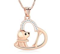 QGJNSGC Collar de urna de perro con corazón para cenizas de mascotas, huesos de mascotas, colgante de recuerdo de cremación, joyería conmemorativa, regalos para mujeres y cachorros perdidos, Acero