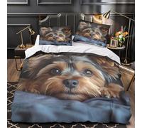 QHNZKJXPRL Choque de Reyes del ajedrez Funda de Edredón con Fundas de Almohada 3 Piezas Suave Impresión 3D Cierre de Diseño dramático Abstracto Funda Edredon for niños y niñas Double（200x200cm）