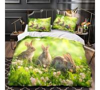 QHNZKJXPRL Lindo Koala Tocando la Guitarra Funda de Edredón Juego de 3 Piezas Impresión 3D Incluye Fundas de Almohada Suave Animal de Dibujos Animados Funda Edredon for Ancianos King（220x240cm）