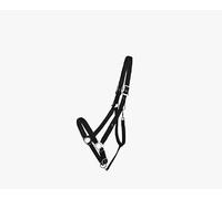 Cabezada de cuadra Head collar Deluxe draft horse QHP - Negro