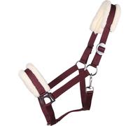 QHP Cabezada Cali, Burdeos - Pony QHP