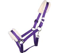 QHP Cabezada Cali, Passion Flower - Pony QHP