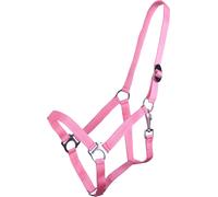 QHP Cabezada con Hebilla Deslizante, Flamingo-Pink - Shetty QHP