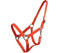 QHP Cabezada con Hebilla Deslizante, Naranja - Shetty QHP