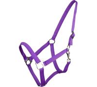 QHP Cabezada con Hebilla Deslizante, Passion Flower - Mini-Shetty QHP