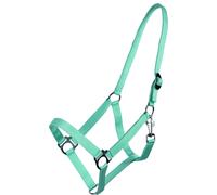 QHP Cabezada con Hebilla Deslizante, Turquesa - Mini-Shetty QHP