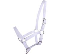 QHP Cabezada de Potro, Blanco - Full-Potros QHP