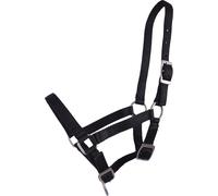 QHP Cabezada de Potro, Negro - Full-Potros QHP