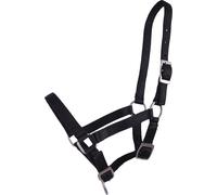 QHP Cabezada de Potro, Negro - Pony-Potros QHP