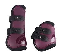 Conjunto de polaina delantera y protector de menudillos para caballo QHP Cob