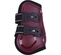 QHP Protectores Traseros Champion, Bordeaux - Pony QHP