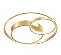 QHQQXN Chandelier Double Circle Design 3000K Warm Light Ceiling Lamp 2.7in Side Lighting Creative Design Lighting.(M)