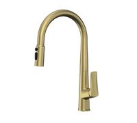 QHQQXN Grifos de Cocina cromados con pulverizador extraíble, Grifo Mezclador para Cocina, caño de Cuello de Cisne frío y Caliente