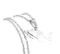 QHQQXN HHRLCH Collar Mexicano de Plata de Ley 925 para Hombres y Mujeres, Collar con Colgante de Mapa de México con Ciudades, Collar con Bandera de México, Collar Rural, Collar de México, Mexicano