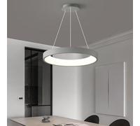 QHQQXN Iron LED Chandelier Dimmable Suspension Lighting Minimalist Ring Modern Pendant Light Kitchen Island Lights Dining Lights,Chandelier LWX