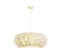 QHQQXN Modern White Feather Chandeliers,E27 Romantic Art Acrylic Pendant Lighting Fluffy Soft Lamp Shade Adjustable Ceiling Lights For Girls Room Living Room-White 50cm