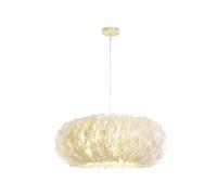 QHQQXN Modern White Feather Chandeliers,E27 Romantic Art Acrylic Pendant Lighting Fluffy Soft Lamp Shade Adjustable Ceiling Lights For Girls Room Living Room-White 50cm