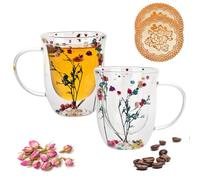 QHYK Juego de 2 Vasos Doble Pared Transparente, 320ml Taza de café de doble pared, decoraciones Flores Secas atemporales, Vasos Cristal Flores Secas para té, café helado, leche, cerveza