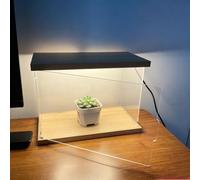 QHZYMX Caja Expositora Transparente con Luz LED Y Base De Madera, Organizador Almacenamiento Acrílico A Prueba Polvo para Decoración del Hogar/Coleccionable(25X15X25cm/10X6X10in)
