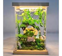 QHZYMX Cajas De Exhibición Acrílicas Transparentes para Coleccionables, Estuche Almacenamiento Luces LED con Base Madera, Contenedores Organizadores Protección(20X10X20in/50X25X50cm)