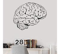 QIANGTOU Cerebro, Mente, anatomía, intelecto, Ciencia, Medicina, Doctor, Vinilo, calcomanía de Pared, decoración del hogar, Arte, Mural, Pegatinas de Pared extraíbles 99x82cm