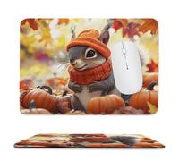 QIANLUOO Alfombrilla de Ratón Gaming, Alfombrilla de Ratón Fina y Suave para Juegos 29 x 24 cm, Impermeable y Base Antideslizante, Mejora la precisión y la Velocidad - Ardilla de Calabaza h-613