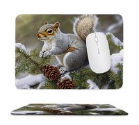 QIANLUOO Alfombrilla de Ratón Gaming, Alfombrilla de Ratón Fina y Suave para Juegos 32 x 26 cm, Impermeable y Base Antideslizante, Mejora la precisión y la Velocidad - Piñones de Ardilla h-800