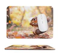 QIANLUOO Alfombrilla de Ratón Gaming, Alfombrilla de Ratón Fina y Suave para Juegos 42 x 35 cm, Impermeable y Base Antideslizante, Mejora la precisión y la Velocidad - Ardilla Animal h-184