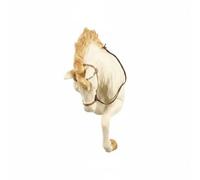 Qianly Escultura de Pared Caballo Cabeza Estatua Relieve Figura Resina Pintura Manual Carácter Rústico Arte Animal Regalo Singular Adecuado para Recibidor, Horse Head Wall