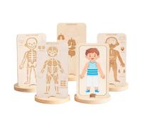 Qianly Juego de Anatomía Puzle de Cinco de Madera para Niños Apoya La Coordinación Mano-Ojo Y Conocimientos Básicos para Padres Actividades Edu, Chico