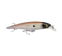 Qianly Señuelo de Pesca Minnow Artificial Flotante Ojos 3D Atractivos Cuerpo de PP Sólido Equipado con Anzuelos Fijos Adecuado para Pesca Recreativa en Agua, D