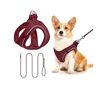 Qianruida Arnés y Correa para Gato Burdeos Diseño Ajustable Cómodo y Transpirable Seguridad Reflectante Ideal para Gatos Grandes y Perros Medianos, Burdeos M