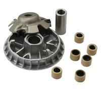 QIAOG Kit variador de 18,2 g con rodillos compatible DVX250 2x4 ATV250 4 tiempos