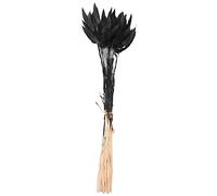 Qiaohome 60 Piezas de Flores Secas de OtoñO, Colas de Conejo, Flores Secas, Lagurus Ovatus, Hierba de Cola de Conejo para Flores Secas (Negro)