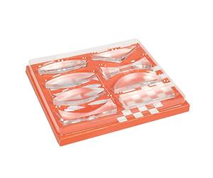 Qiaohome Kit de Experimentos de óPtica GeoméTrica Kit de Experimentos óPticos de RefraccióN de Lentes CóNcavas-Convexas