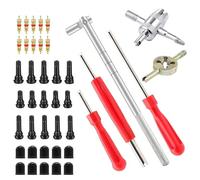 Qibivfo Kit Herramientas Válvulas Neumáticos 41 Piezas, Extractor Núcleo Válvula Doble/Simple Cabeza, Herramienta 4 Vías, TR412 TR413 TR414 para Coche Moto Bici