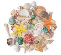 Qiblaou Conchas Marinas Naturales 200 g con Estrella de mar Conchas Marinas Mixtas de Playa, 2-8 cm Concha de Mar Decoracion, Adecuado para Rellenos de Peceras, Fiestas Temáticas de Playa