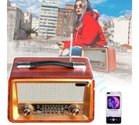 QIeAny Radio Am FM Portátil, Altavoz Bluetooth Recargable, Radio FM/Am/de Tres Bandas, Reproducción De Tarjeta Enchufable/Disco U, Caja De Madera Pura, Duración De Batería De 12 Horas,A