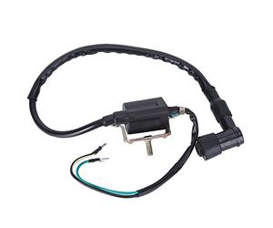 Qiilu - Bobina de Encendido (12 V, 50 70 90 110 125 Pit Dirt Bike