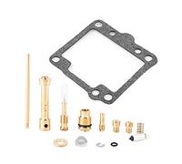 Qiilu Kit de reparación de carburador, Savage 650 86-09, 15 Piezas, Kit de reparación de carburador, Piezas de Repuesto para automóviles, de Combustible, Piezas de carburadores, reconstrucción