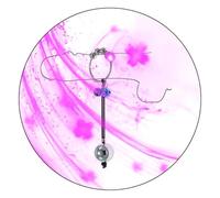 QiKKago Bola De Entrenamiento De Acero Inoxidable SóLido Anillo De Entrenamiento De Fuerza De Nivel De Entrada De 35 Mm Anillo De 25 Mm Bola úNica - Y11.3.1 (1 Bola)