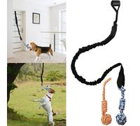 Qingfangli Pole de primavera Dog Rope Outdoor Tug of War Juguete para Pitbull Medium a Gran Gran Gran Harga de colgantes Ropes Muscle Builder Toys In